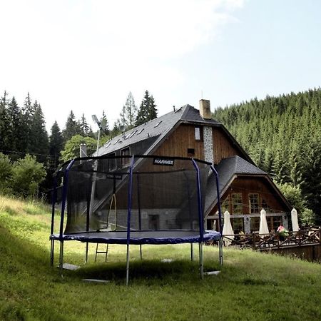 Horsky Hotel Vidly Karlova Studánka Kültér fotó