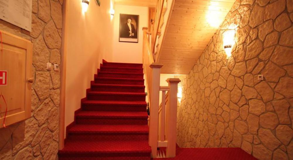 Horsky Hotel Vidly Karlova Studánka Kültér fotó