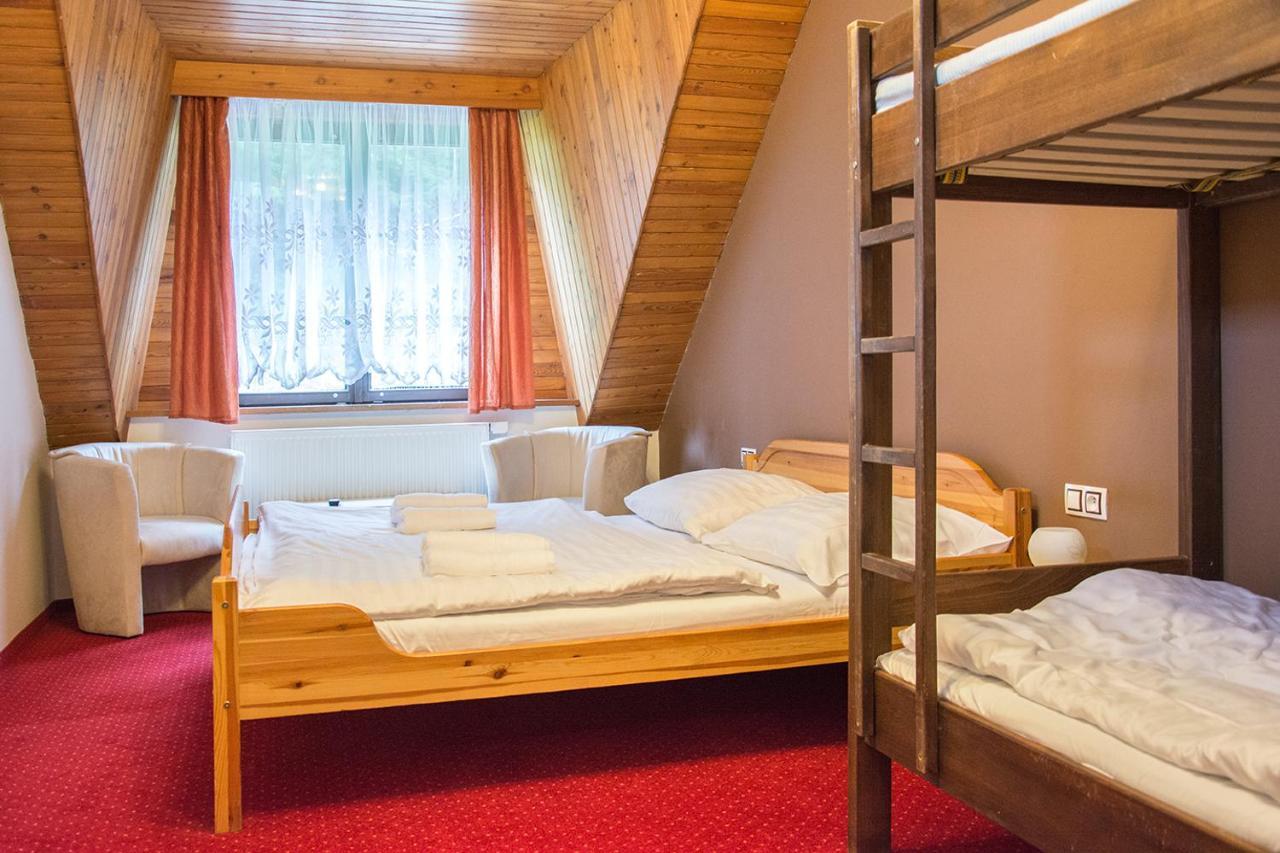 Horsky Hotel Vidly Karlova Studánka Kültér fotó