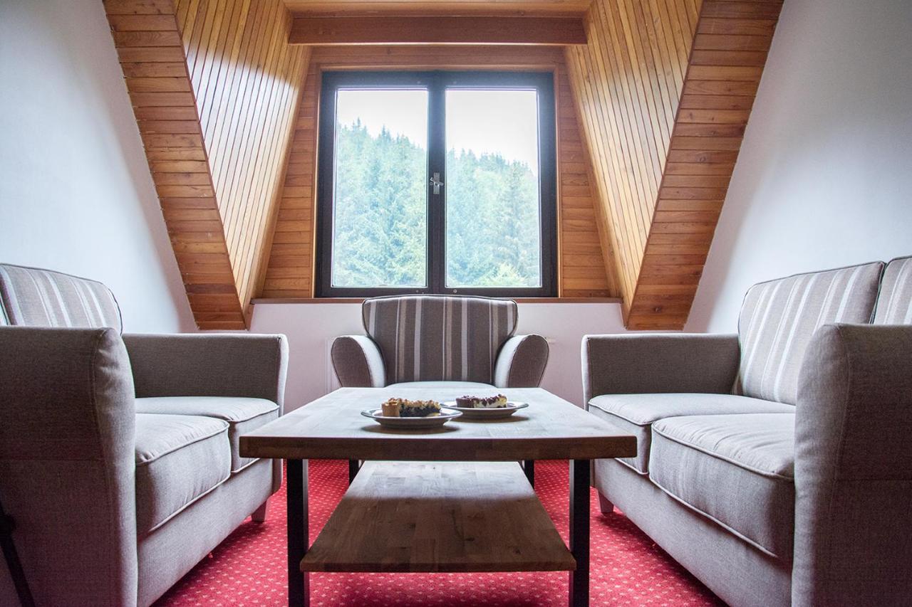 Horsky Hotel Vidly Karlova Studánka Kültér fotó